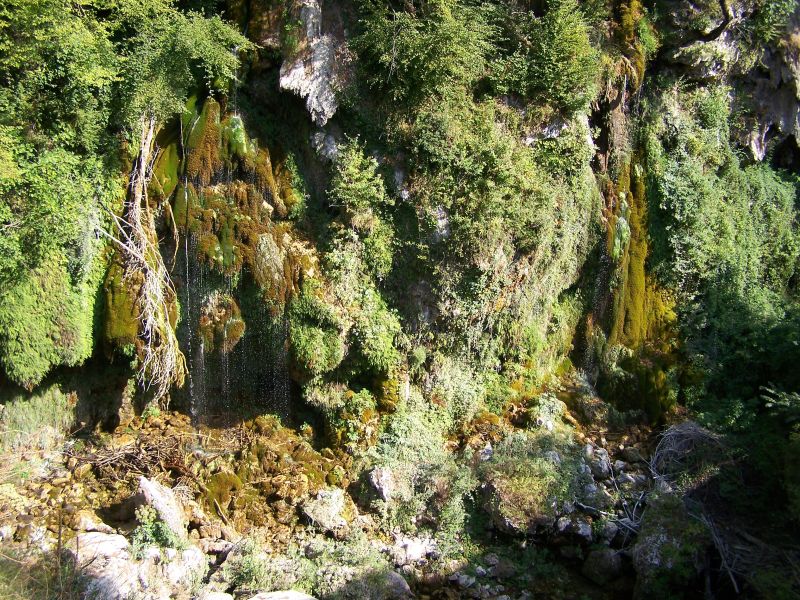 gal/Vacances/Les_Cascades_du_Loup/Grasse2007 165.jpg